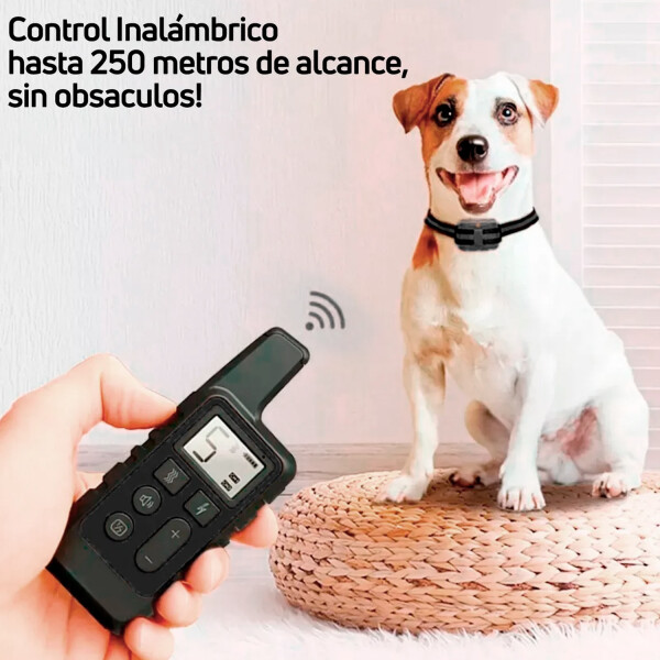 Collar De Entrenamiento Para Perros ADIESTRADOR DE PERROS COLLAR SMART