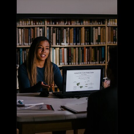 Monitor Portátil Mobile Pixels Duex Lite 12,5'' FHD Monitor Portátil Mobile Pixels Duex Lite 12,5'' FHD