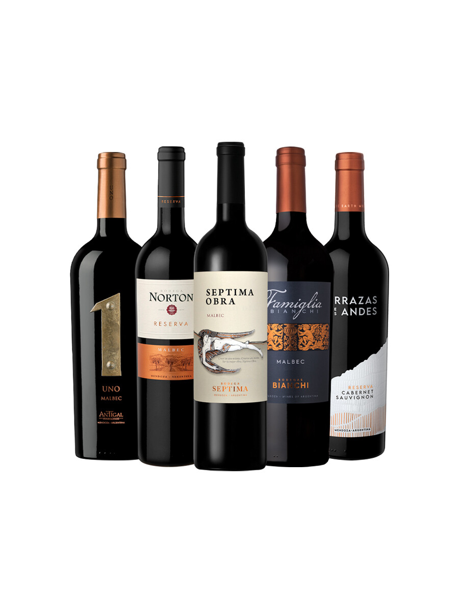 Pack Bacán Favoritos del año: Alma Andina x5 vinos Pack Bacán Favoritos del año: Alma Andina x5 vinos