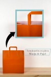 Bolsa lisa acuario 30x12x32 cm NARANJA