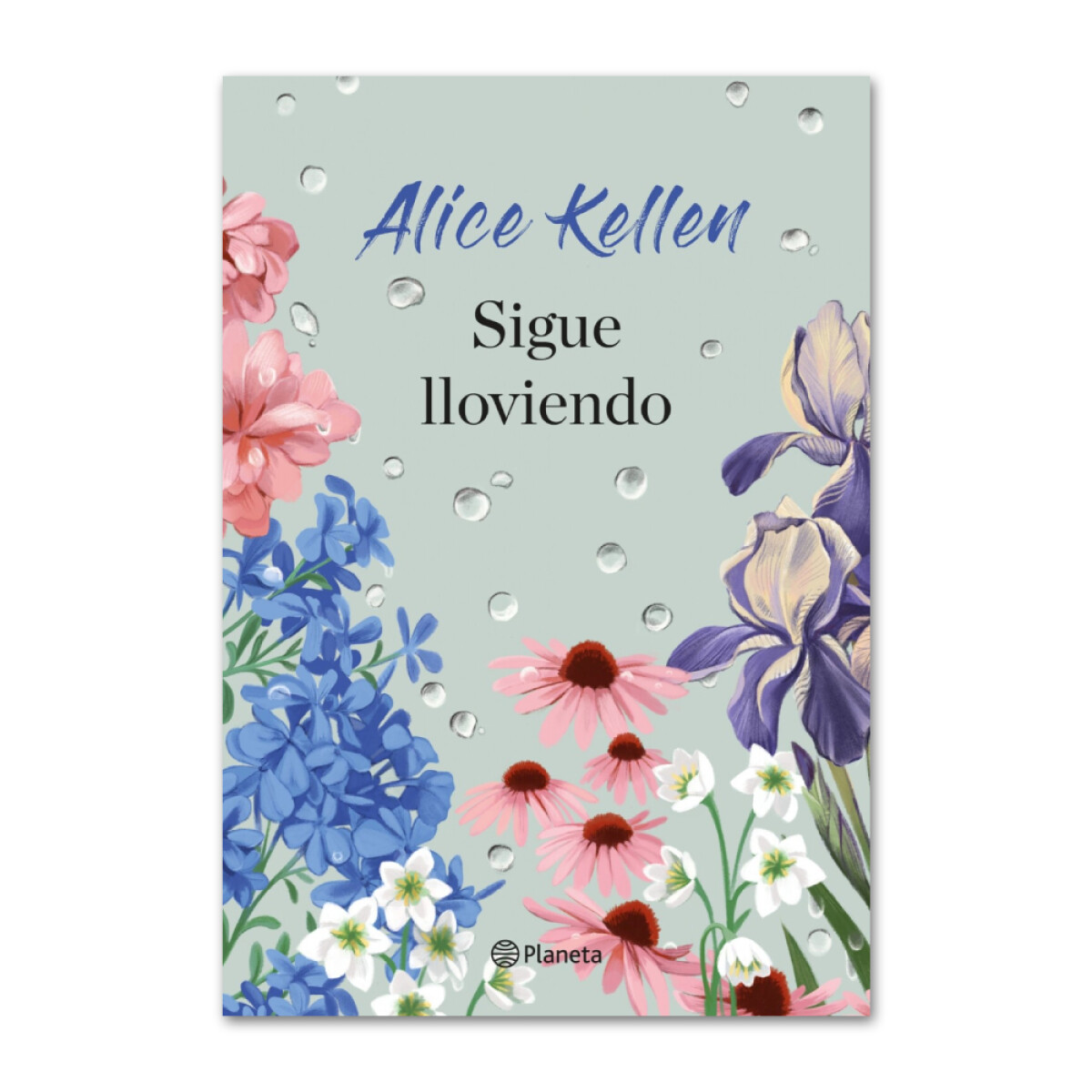 Sigue lloviendo - Alice Kellen 