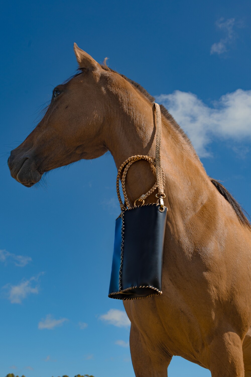 Matera Talabartera Negro