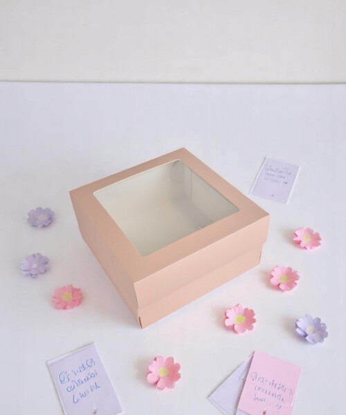 Caja 20x20x9,5 c/visor. NUDE