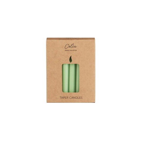 Pack x12 velas Amiel Te verde