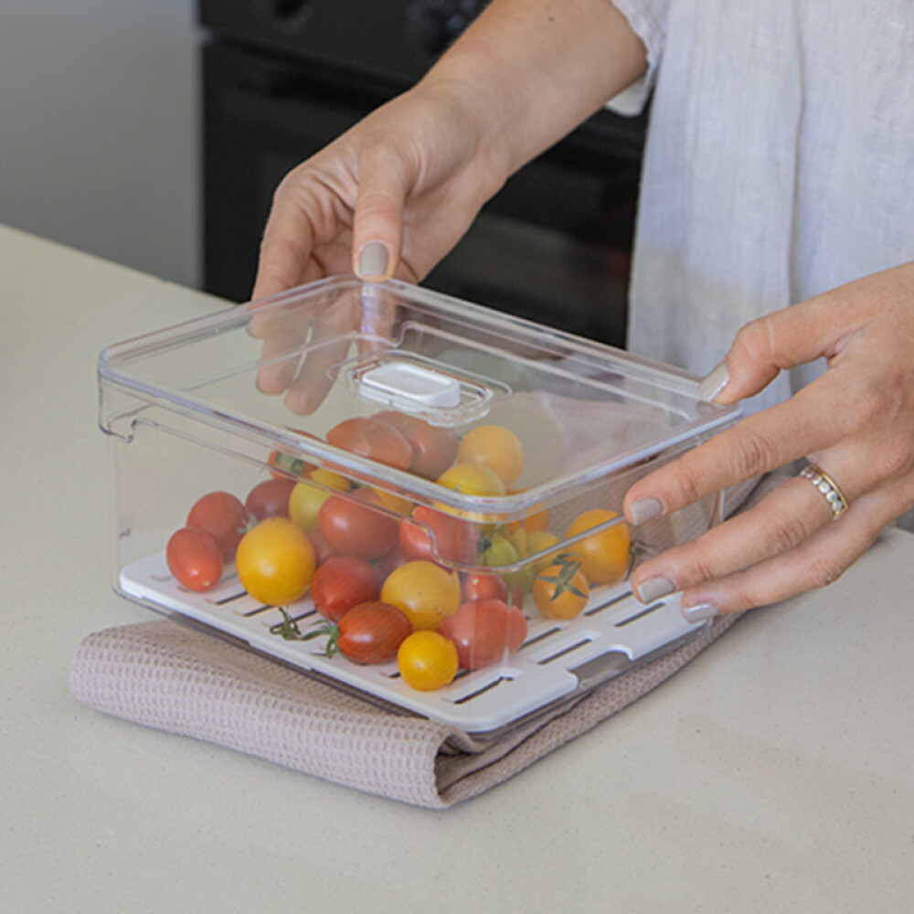 Organizador Heladera Chico | Bandeja Organizador Heladera Chico | Bandeja