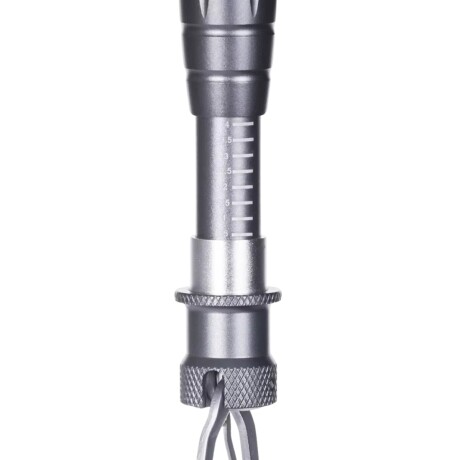 Pinza boga para pesca con balanza de 4Kg Gris