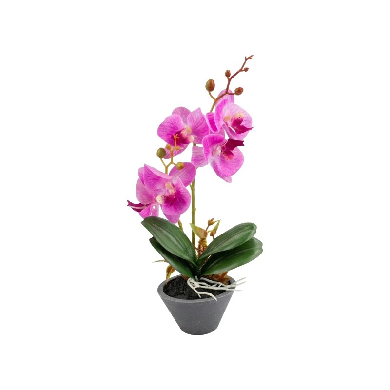 ORQUIDEA FUCSIA C/MACETERO 9X24CM Unica