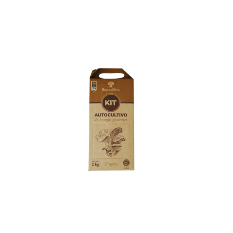 Kit Autocultivo azul Bosque Terra Kit Autocultivo Azulados