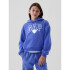 FA24 LOGO PO HOODIE MATISSE BLUE