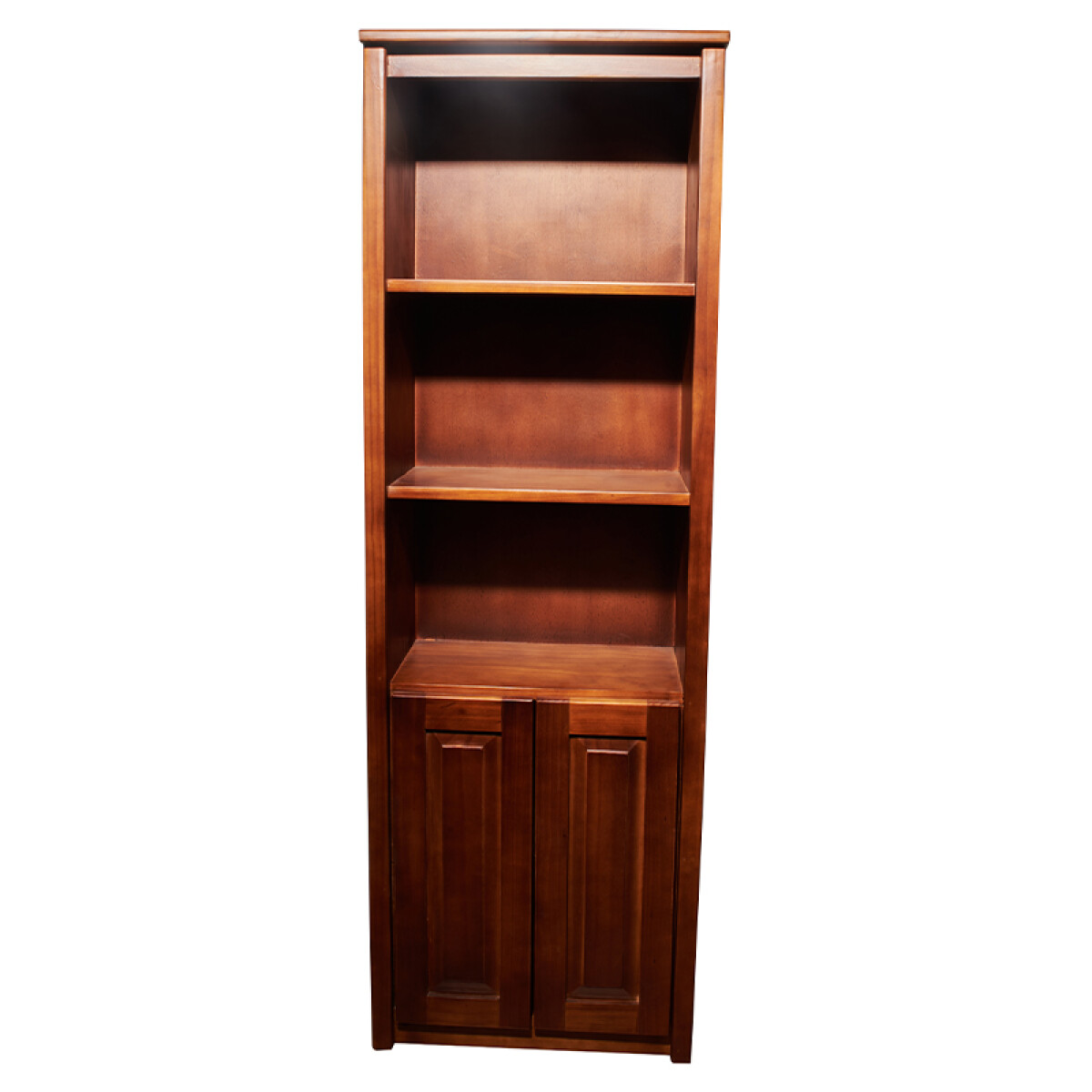 Biblioteca/ estantería de 60 con puertas 