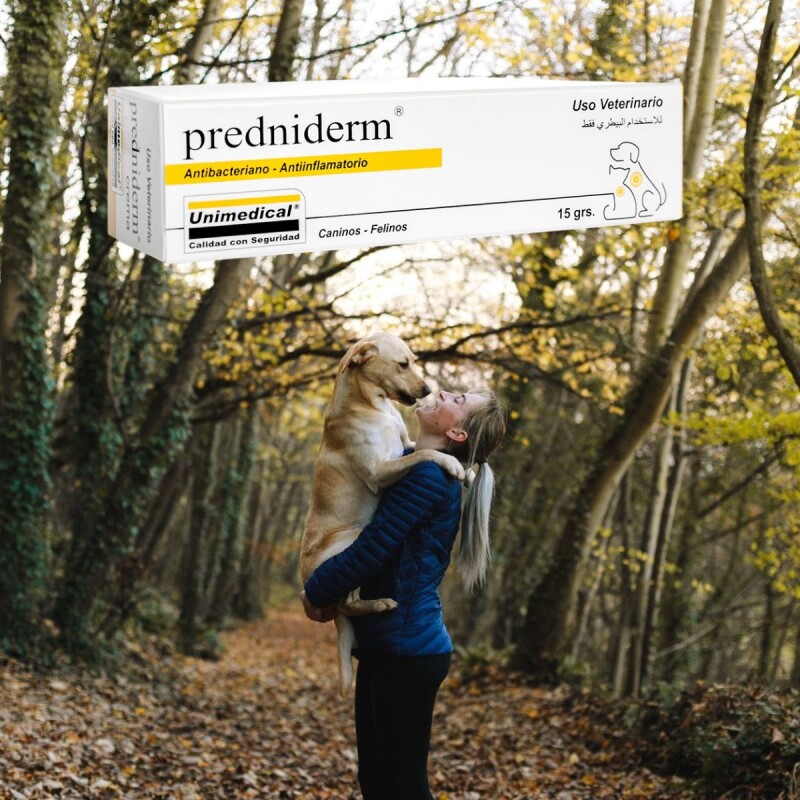 PREDNIDERM CREMA ANTINFLAMATORIA 15 G PREDNIDERM CREMA ANTINFLAMATORIA 15 G