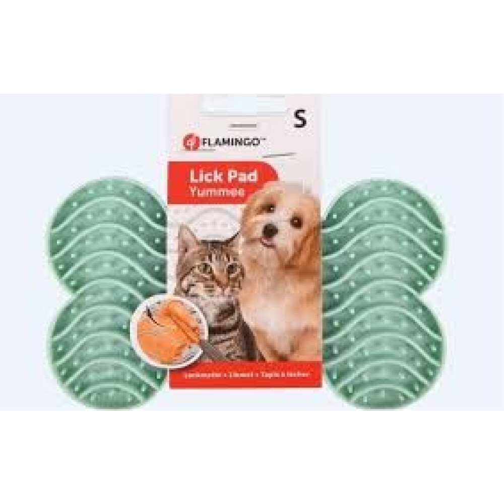 TAPETE PARA LAMER YUMMEE SILICONA HUESO VERDE MENTA S 15CM DISPLAY TAPETE PARA LAMER YUMMEE SILICONA HUESO VERDE MENTA S 15CM DISPLAY