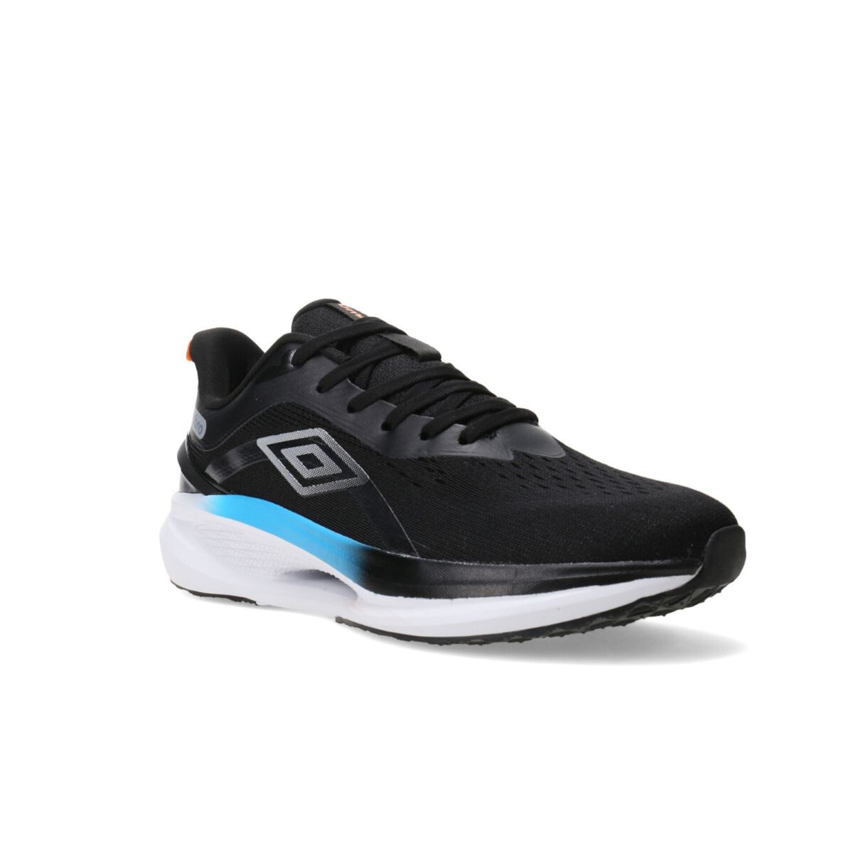 CHAMPION 38-45 - NEGRO 