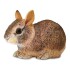 Figura Safari Conejo Marron Granja Juguete Niños Infantil Figura Safari Conejo Marron Granja Juguete Niños Infantil