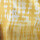 SHORT TORTOISE 8.0 AMARILLO WOODST.