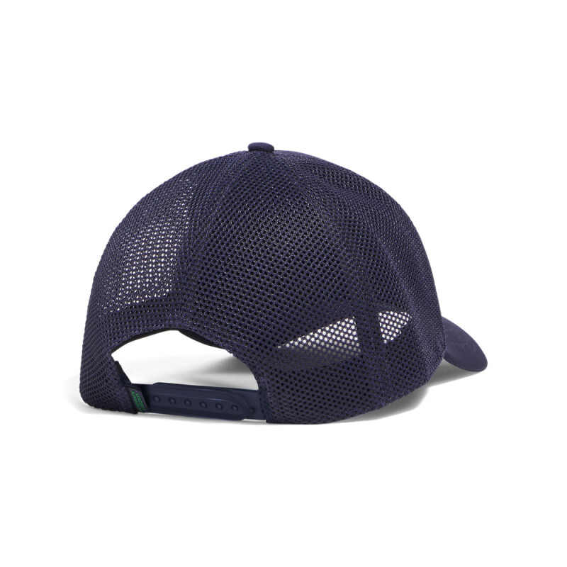 M Blitzing Trucker-YLW BLU-410
