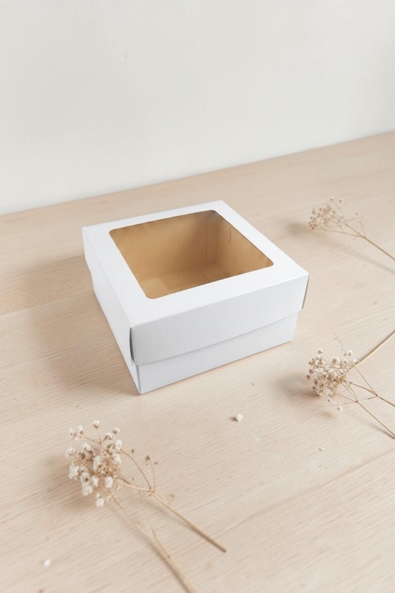 Caja 20x20x9,5 c/visor. - BLANCO 