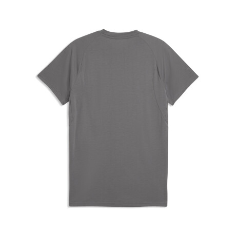CAP Tee 78653305 Gris