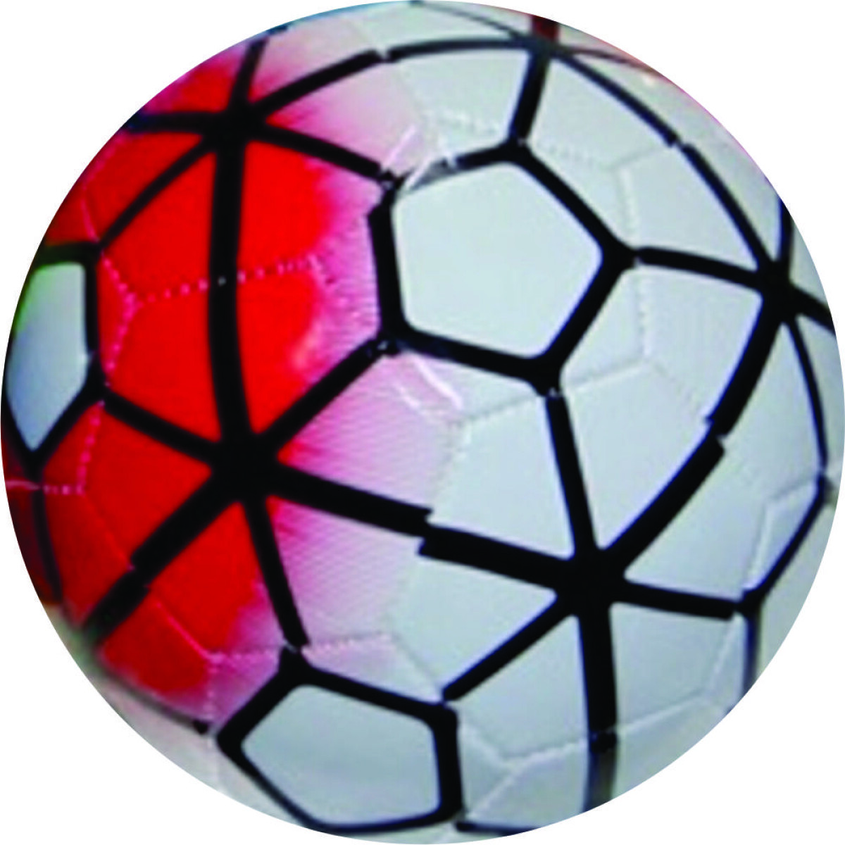 PELOTA N°5 Libertadores 