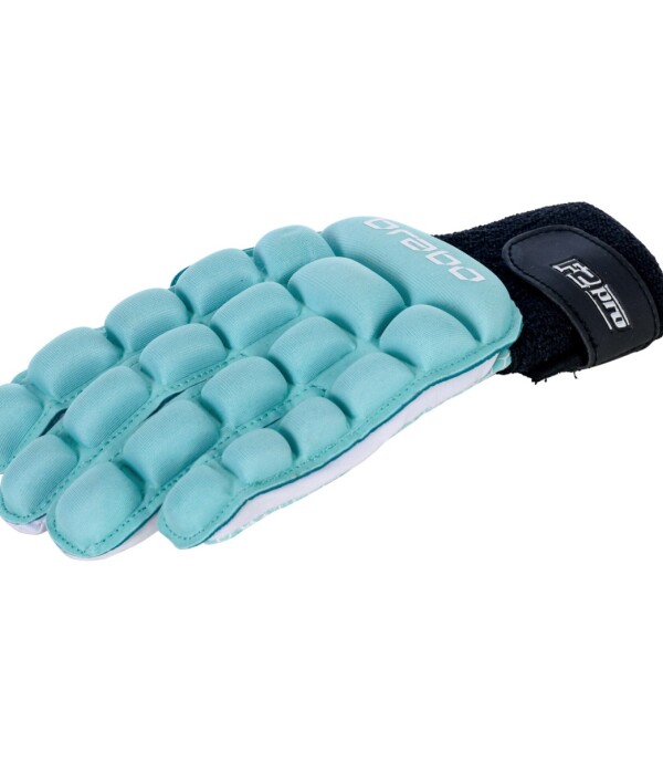 Indoor Glove F2.1 Pro L.H. Aq Varios