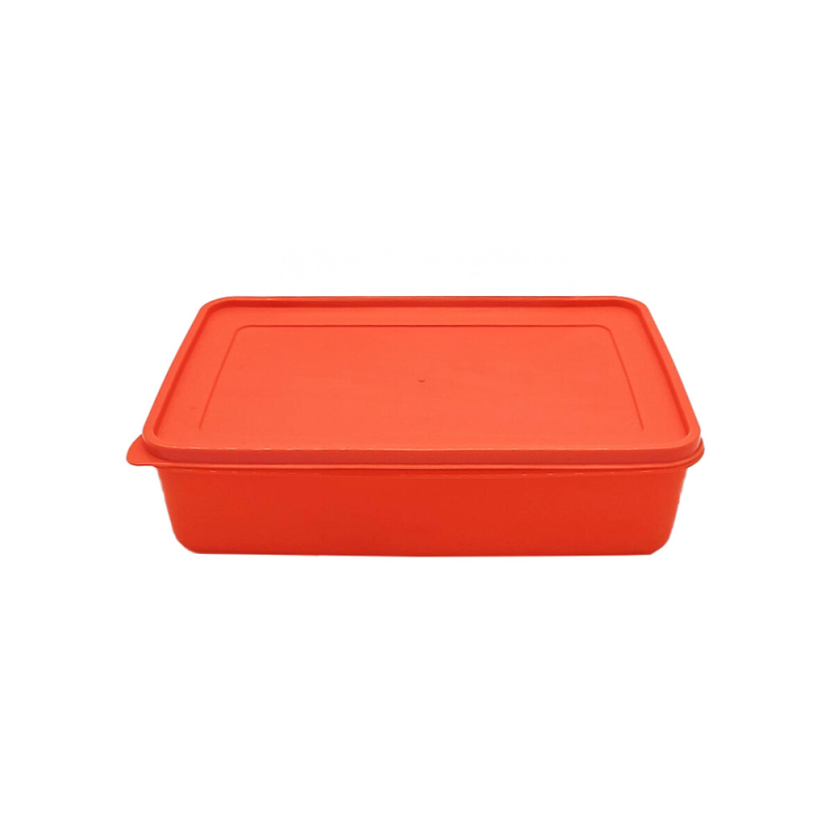 RECIPIENTE RECTANGULAR 2 