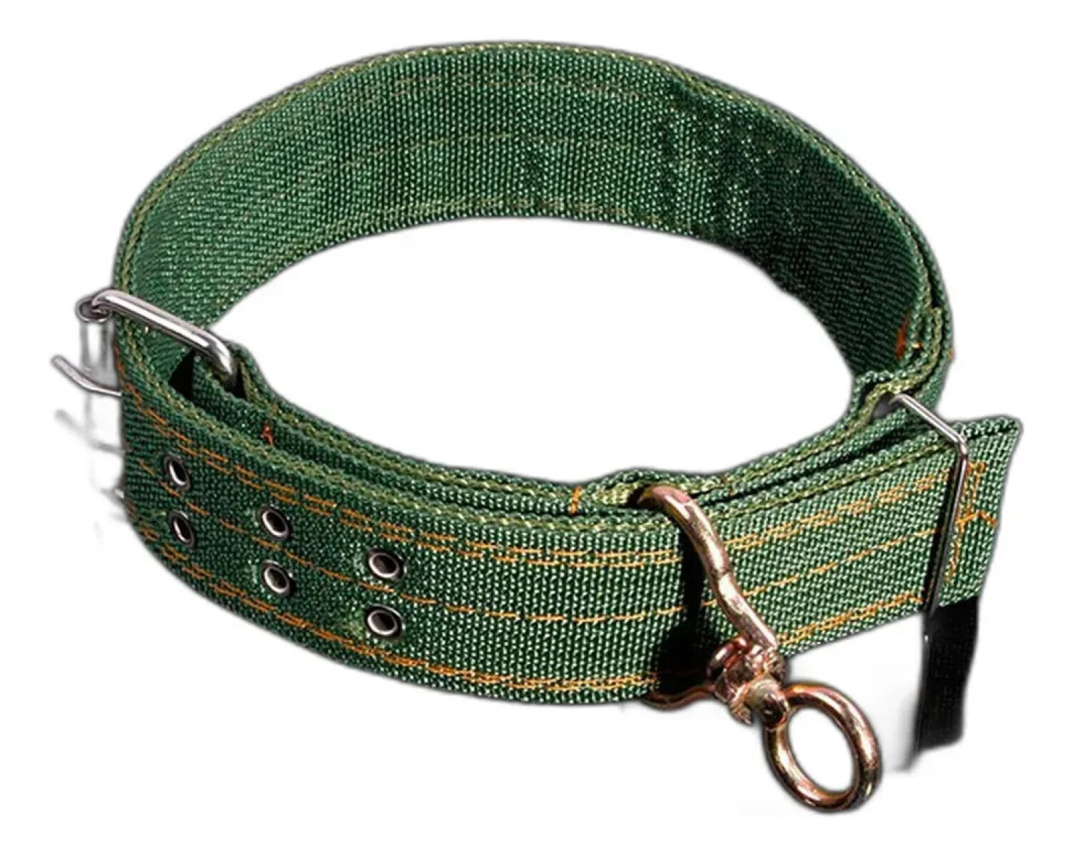Collar Para Perro Resistente Raza Grande 