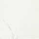 Porcelanato Para Piso Y Pared De 84X84 Blanco Marmolados Veta Gris Brillo Liso Serie Le-Blanc Elizabeth