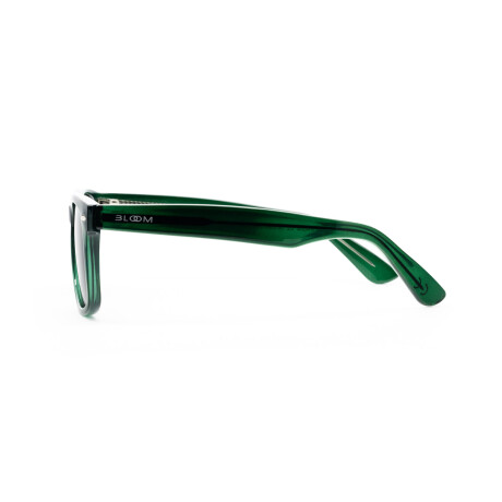 Lentes de Sol Bloom Polarizado PA004 Unisex Verde