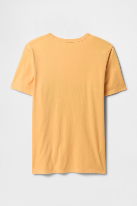 Remera Gráfico Niño Orange Nectar 660