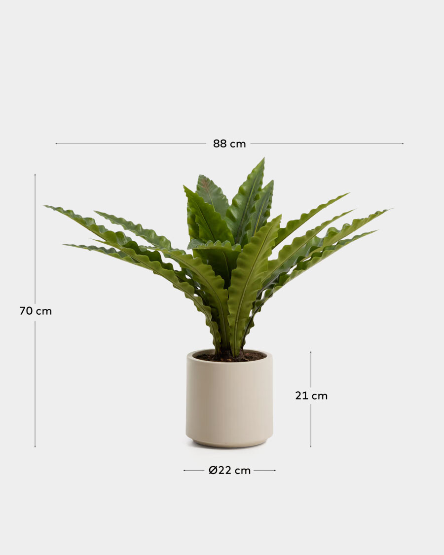 Planta artificial Neottopteris con maceta blanca 70 cm Planta artificial Neottopteris con maceta blanca 70 cm