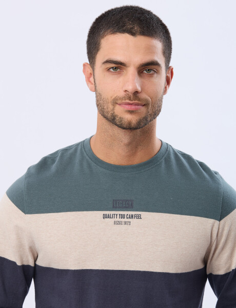 REMERA RAYADA DE ALGODÓN Azul