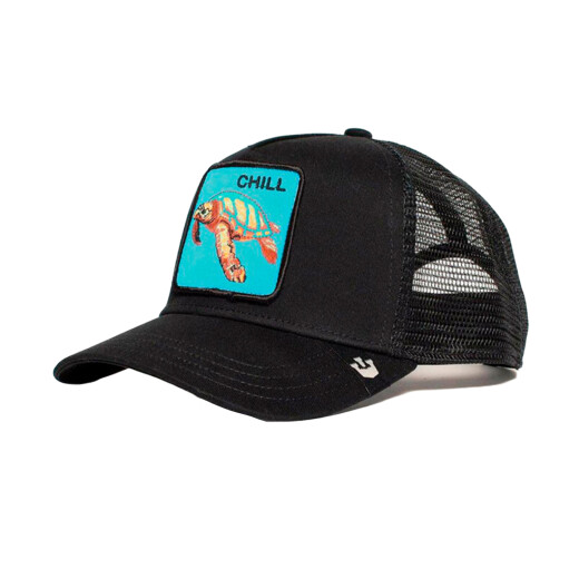 Gorro Goorin The Chill Sea Turtle Gorro Goorin The Chill Sea Turtle