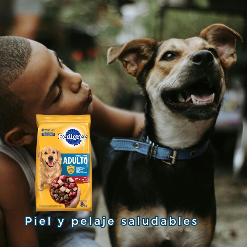 PEDIGREE PERROS ADULTOS 21 KG + 3 KG DE REGALO
