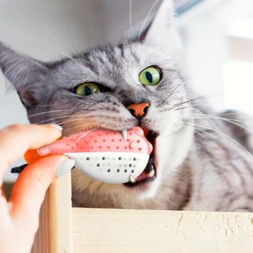 Juguete Interactivo Para Gato - Pez Globo Con Hierba Gatera Juguete Interactivo Para Gato - Pez Globo Con Hierba Gatera