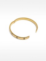 Pulsera Rígida Con Cristales - Acero Inoxidable dorado
