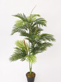 Planta Palmera Areca 85cm Color Unico