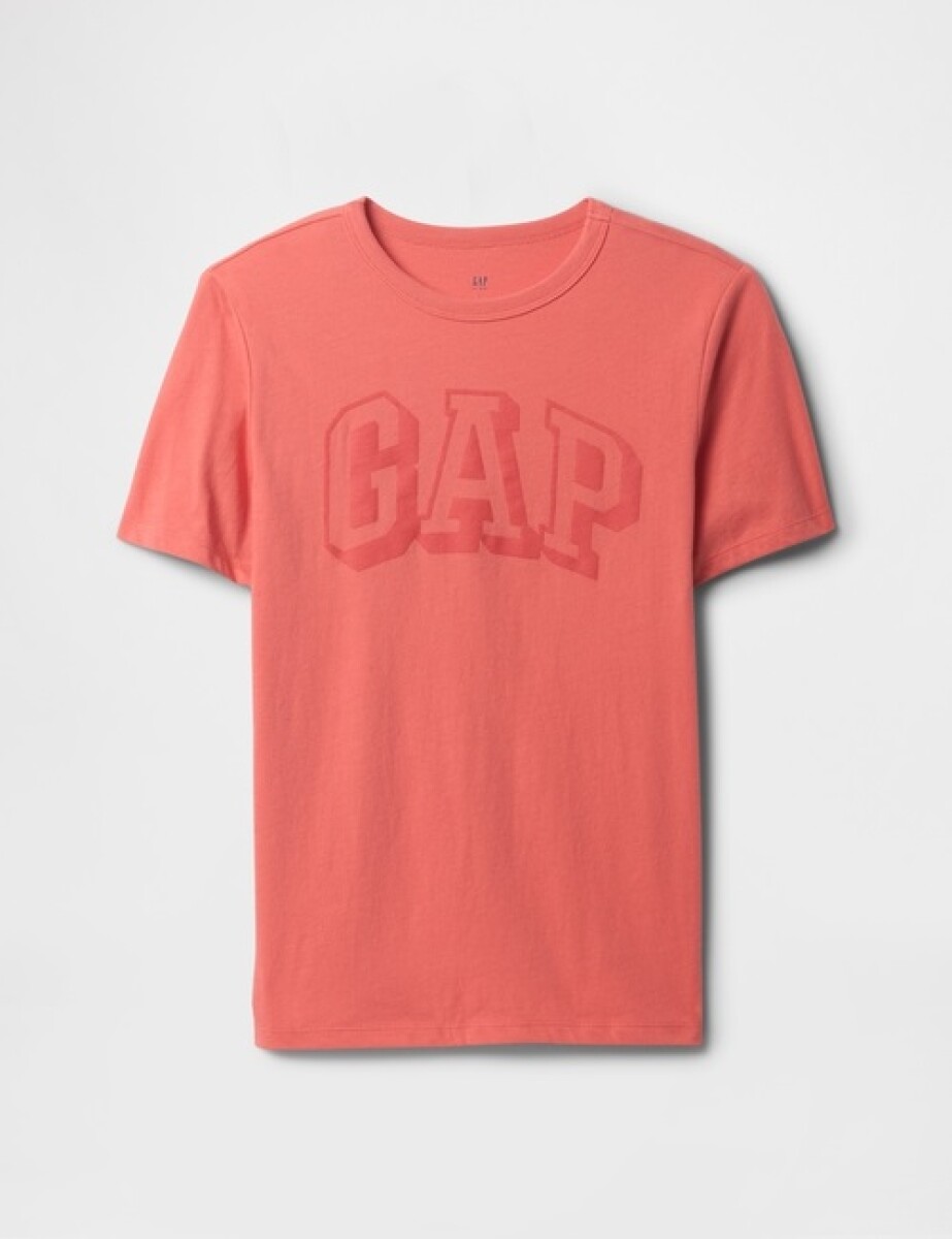 Remera Logo Gap Niño - Watermelon Ice 