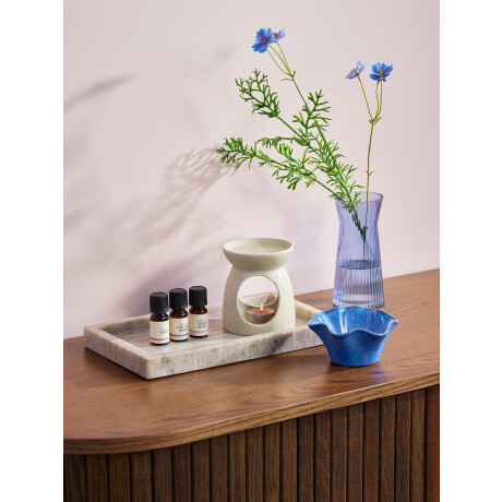 Aceite Aromatico Leon 10Ml 3 Unidades