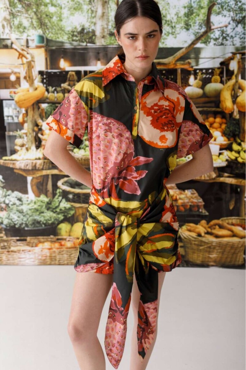 Pre Venta Vestido Kiwi Print - Multifruit 