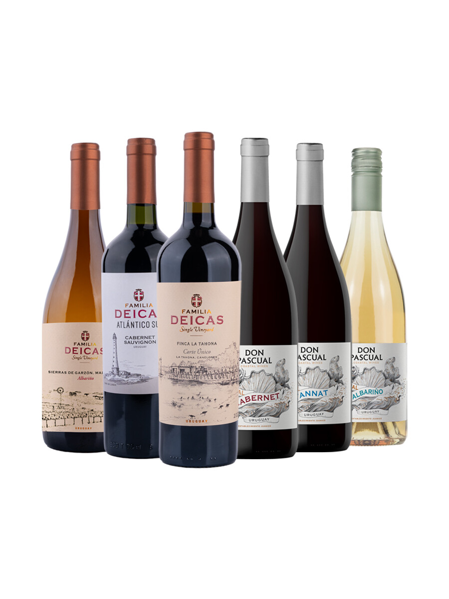 Pack Bacán Selección Coordenada Atlántica x6 vinos uruguayos Pack Bacán Selección Coordenada Atlántica x6 vinos uruguayos