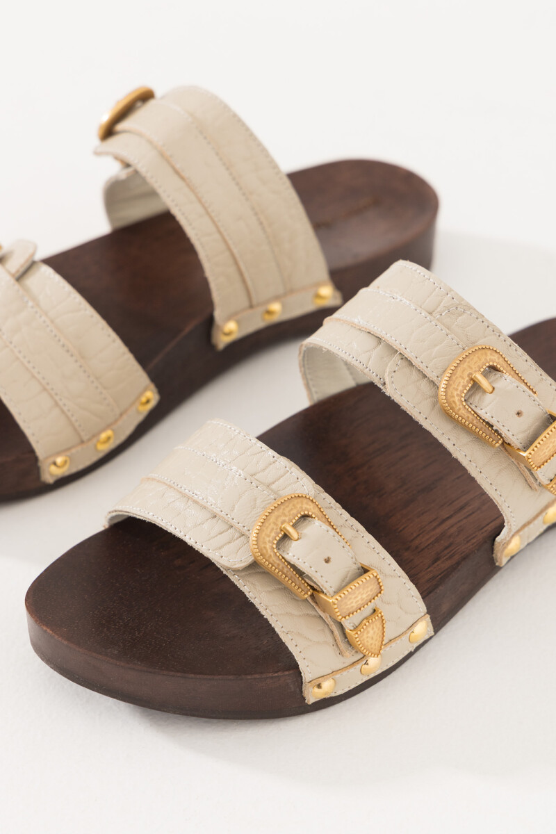 ZUECO VALENCIA Arena