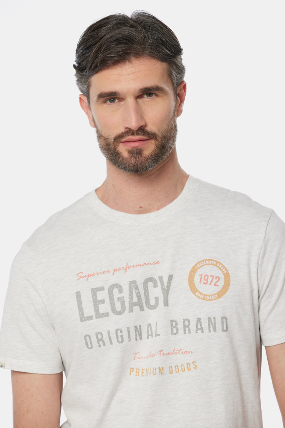 REMERA ESTAMPADA Gris