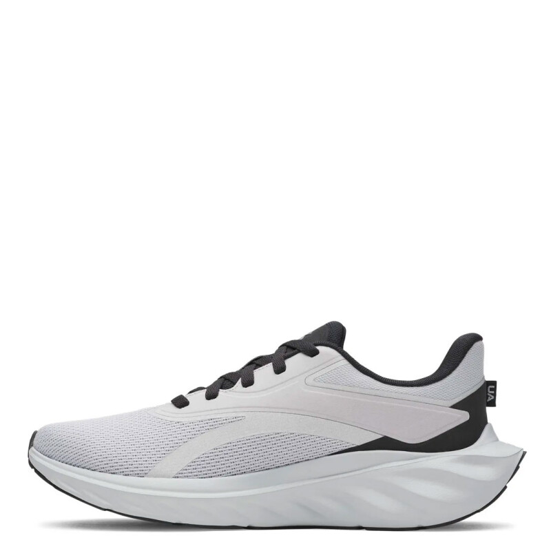 Championes de Hombre UNDER ARMOUR Ascend Gris