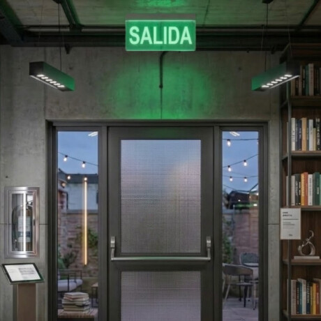 CARTEL DE EMERGENCIA - SALIDA Cartel LED de Emergencia Salida