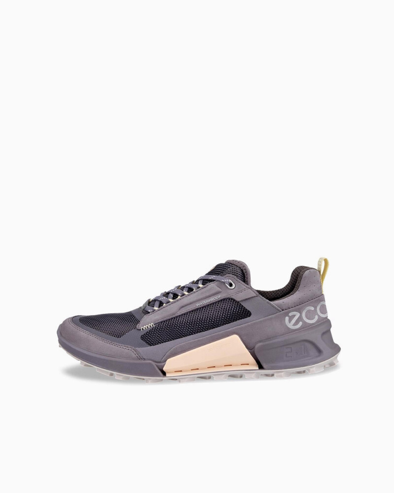 ECCO Biom 2.1 X Mountain Gris