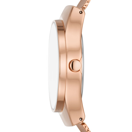 Reloj Skagen Fashion Acero Oro Rosa 0