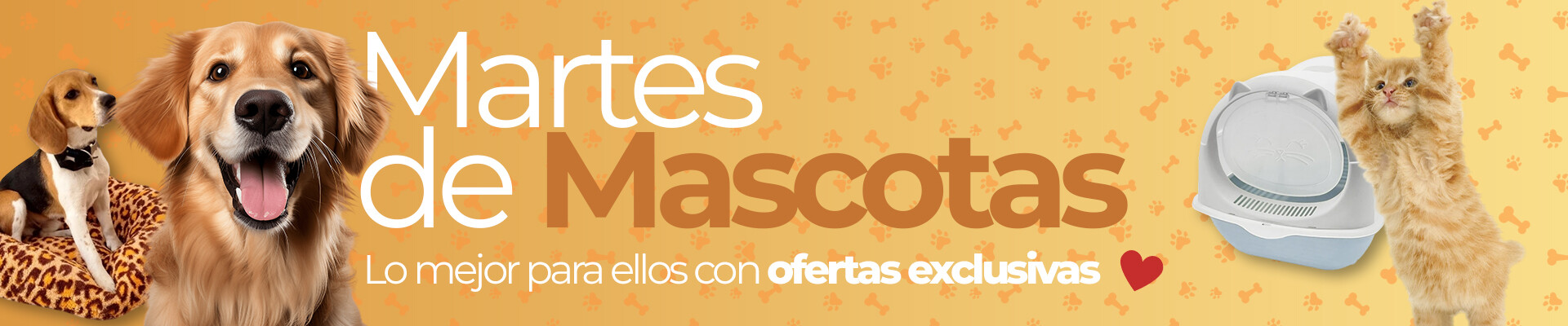 Martes de Mascotas