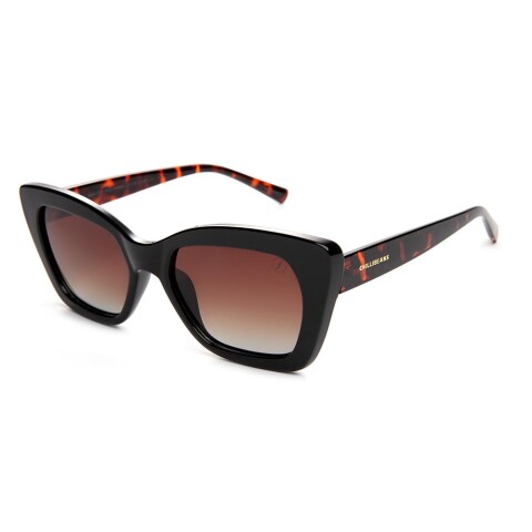 Lentes de Sol Eco Cat Gradiente Marón/Negro