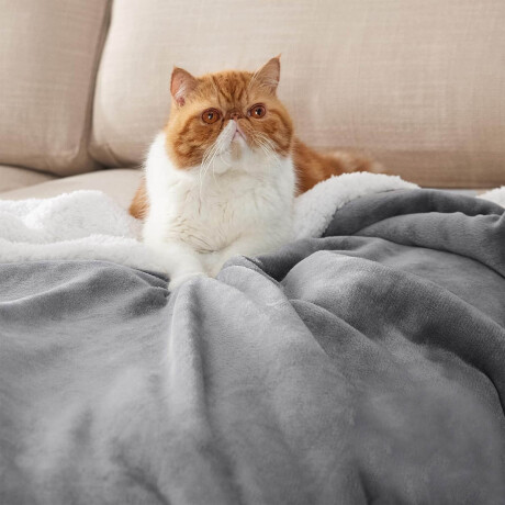 Frazada X2 Manta Polar 2 Plazas C/corderito 200x230cm Gris