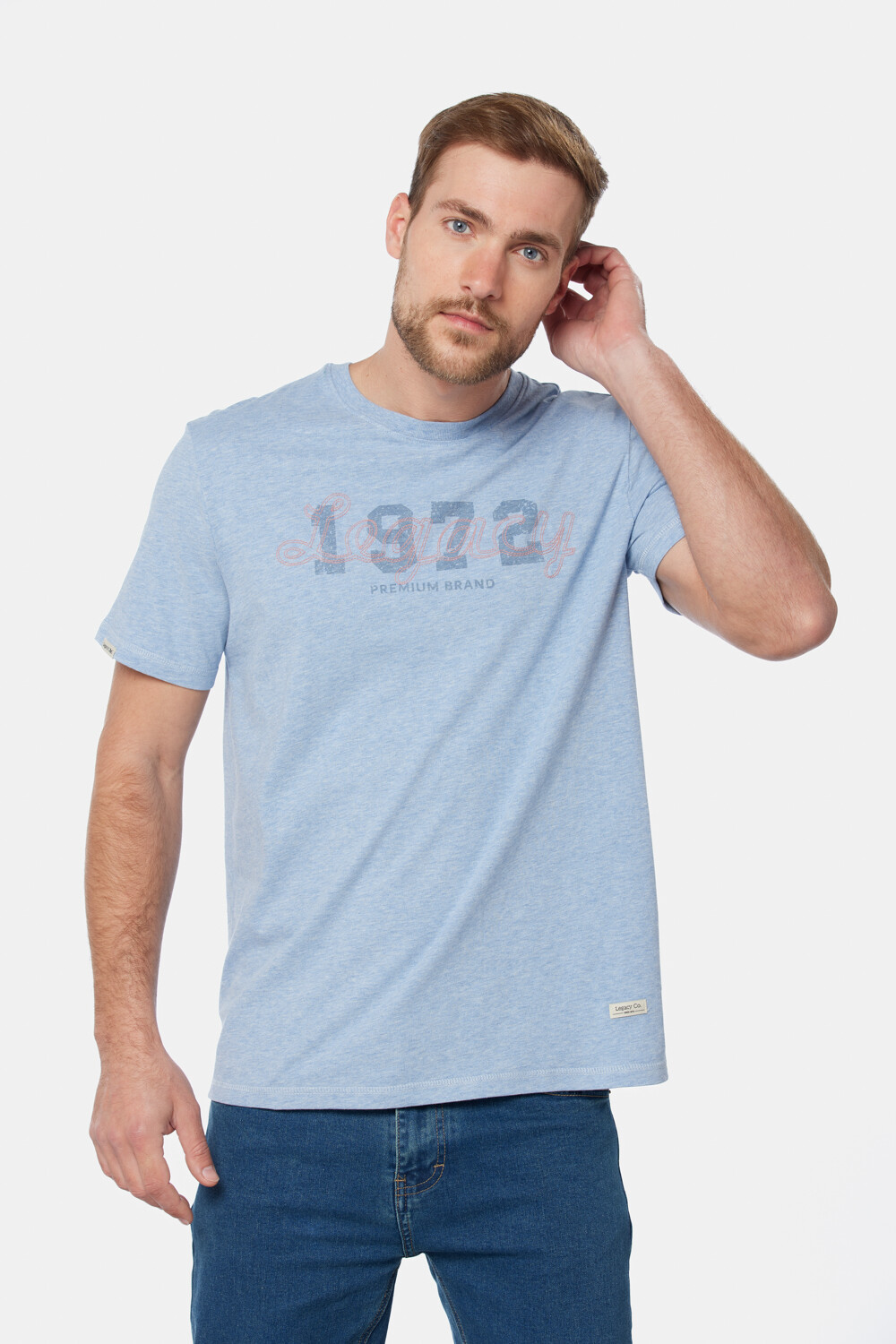 REMERA CON BORDADO Azul